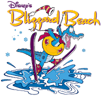Disney Blizzard Beach Water Park